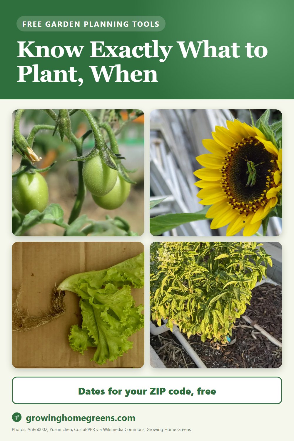 Growing Home Greens: a free planting calendar and raised-bed designer for your USDA zone